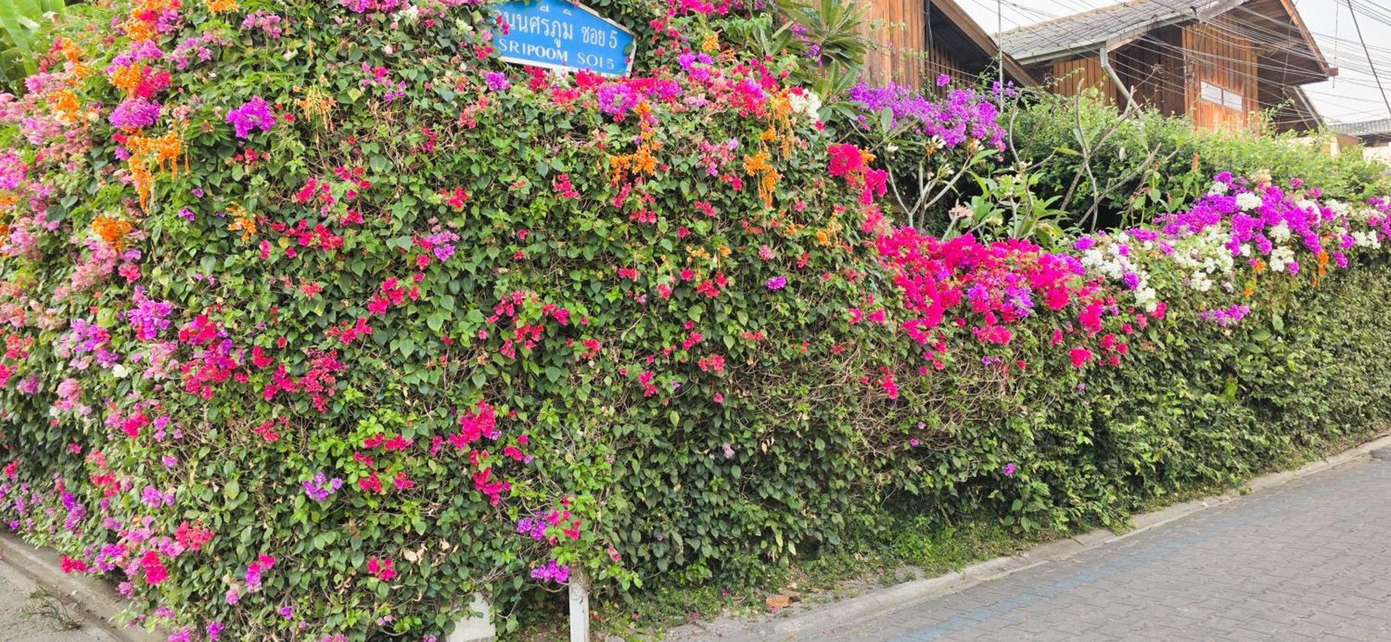 Siriwan Hostel Chiang Mai Extérieur photo